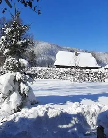 Guest house Zorianyy