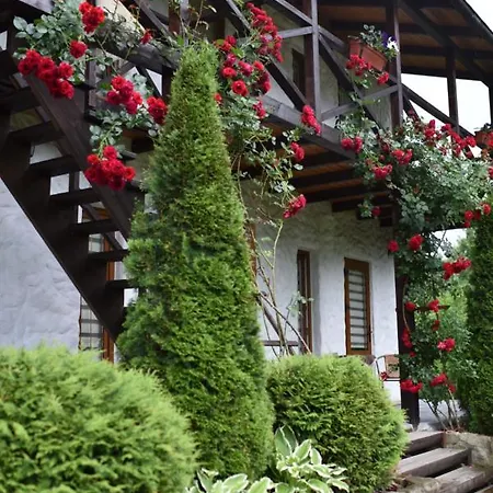 Zorianyy 3* Mykulychyn