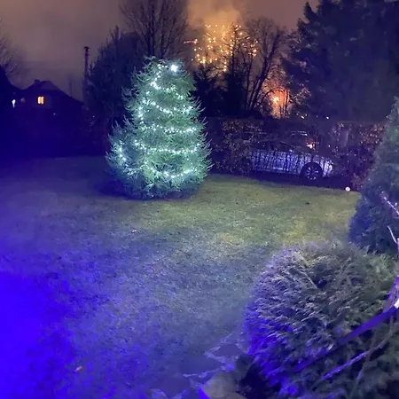 Guest house Zorianyy